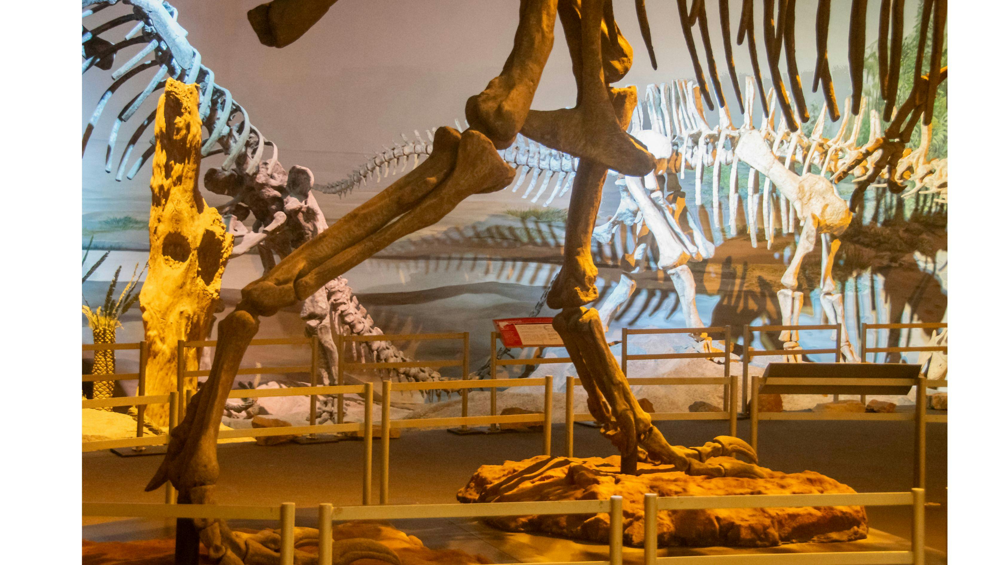 Visit the ArtScience Museum